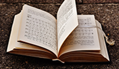 imagen de libro 2
